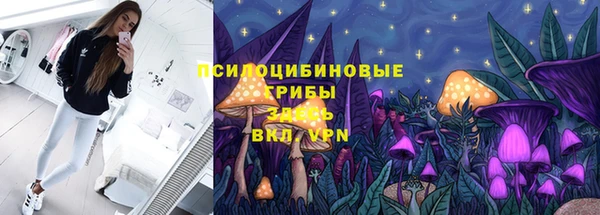 стафф Верхний Тагил