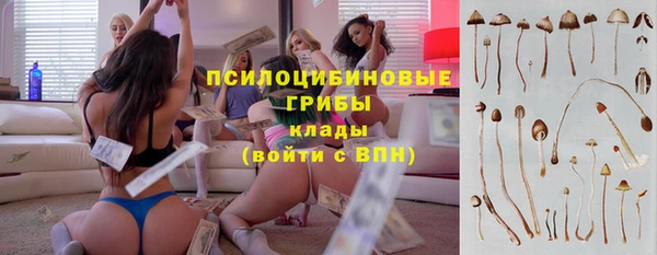 стафф Верхний Тагил