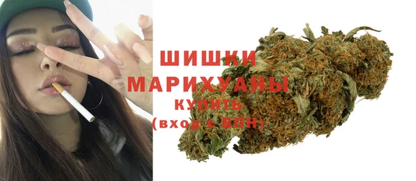 стафф Верхний Тагил