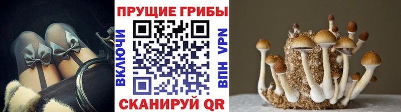 цены наркотик  Вилюйск  Галлюциногенные грибы Magic Shrooms 